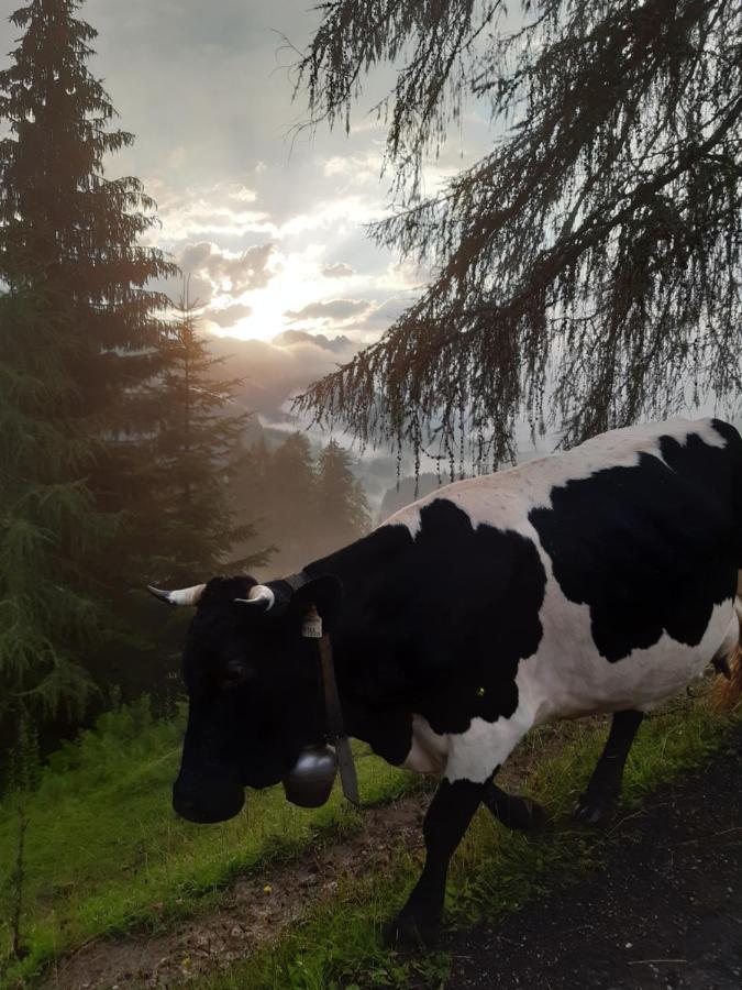 Reithgut Lejlighed Sankt Martin am Tennengebirge Eksteriør billede